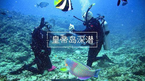 终结者2官方手游